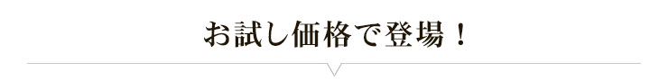 お試し価格で登場