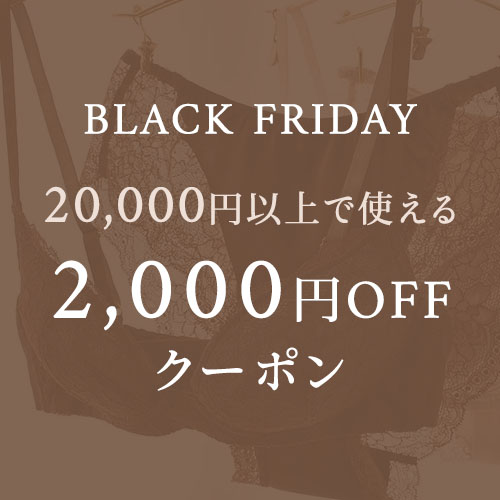 ブラックフライデー【2,000円OFFクーポン】