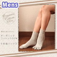 【男性用】オーガニックコットン100%　５本指 靴下