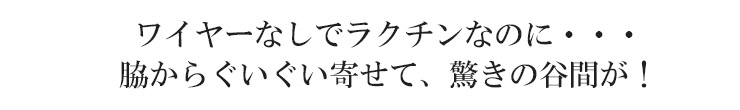 シルク ノンワイヤー ブラジャー