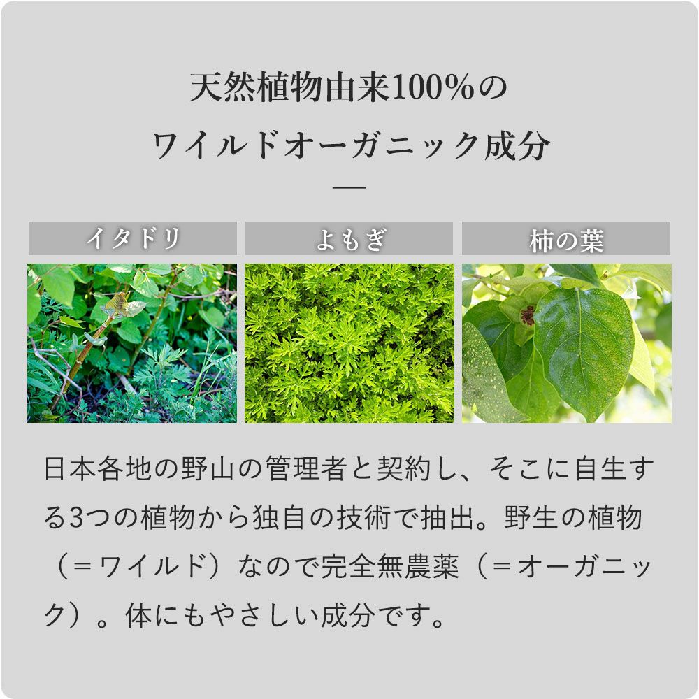 リラクシングウェア カップ付きフレンチ袖トップス 日本製